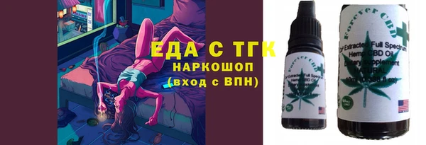 хмурый Дмитров