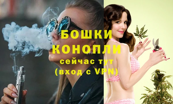 дживик Гусев