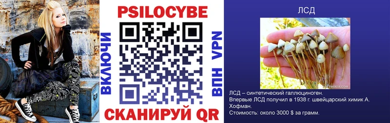 Псилоцибиновые грибы GOLDEN TEACHER Москва